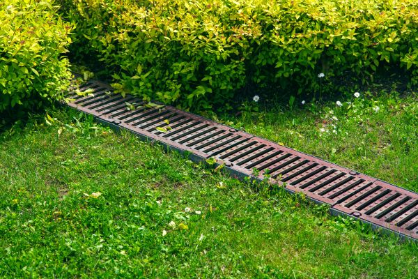 Cost of Lawn Drainage in Evergreen