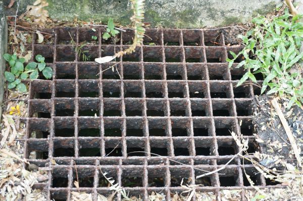 Cost of Yard Drain Cleaning in Evergreen