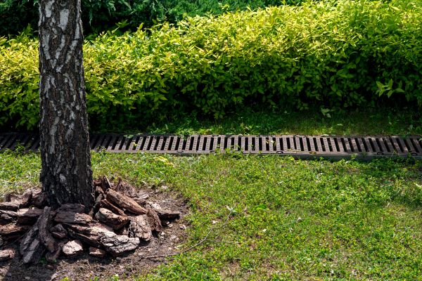 Cost of Wet Yard Drainage in Evergreen