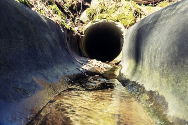 Drainage Swale Installation in Evergreen