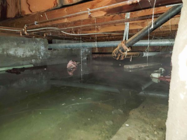 Cost of Crawlspace Drainage in Evergreen