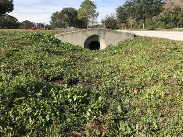 Cost of Swale Drainage Service in Evergreen