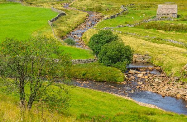 Cost of Swale Repair in Evergreen